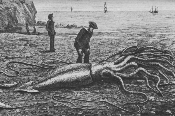 Kraken tor зеркало